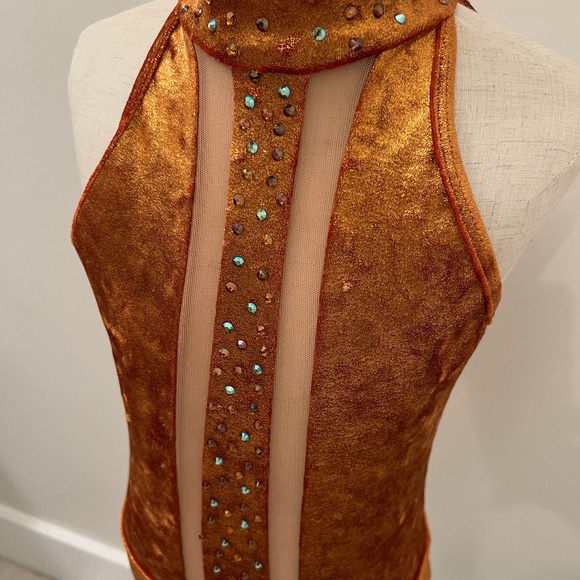 Dance Costume - CH LG - Copper, Velvet Leotard - Picture 3 of 3